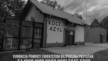 Zbiórka Koci Azyl na krawędzi - miniaturka zdjęcia