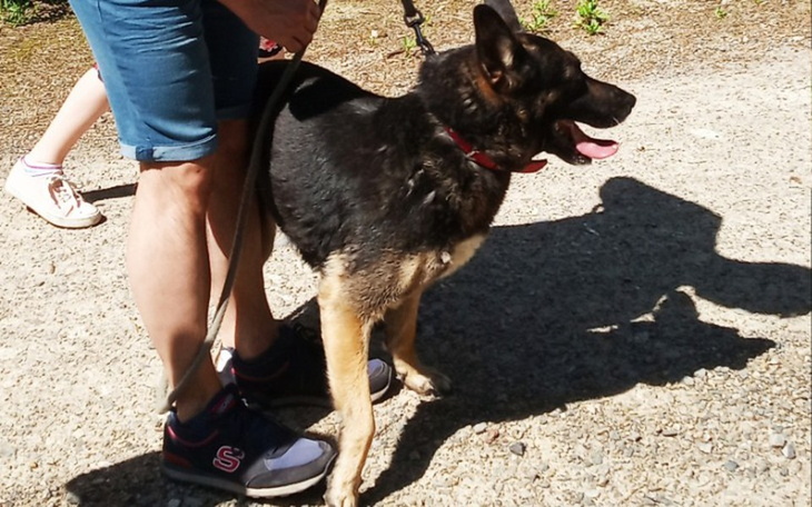 Zbiórka Celestyniaki - zdjęcie główne