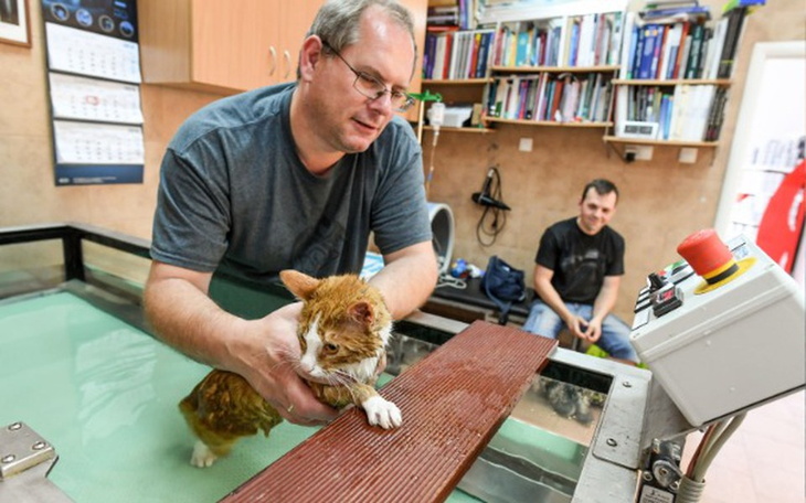 Zbiórka Rehabilitacja Gucia - zdjęcie główne