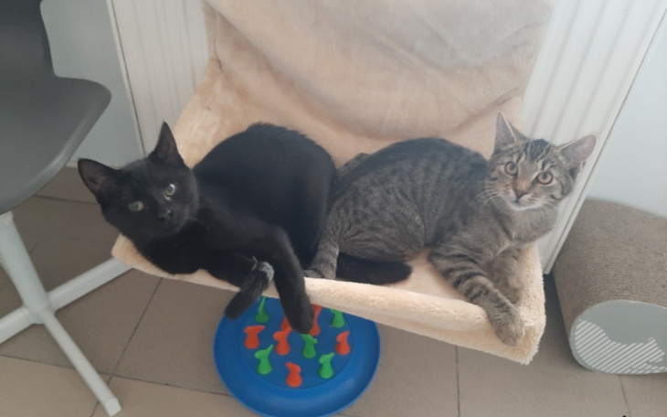 Zbiórka Tniemy bezdomność - zdjęcie główne