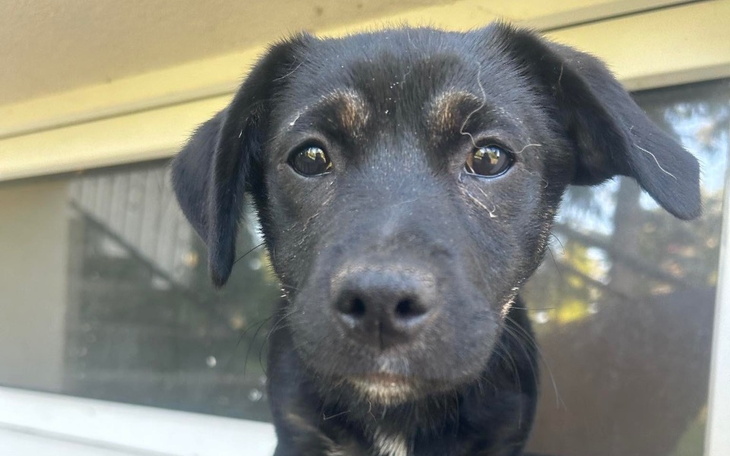 Zbiórka Zbiórka na operację miednicy - zdjęcie główne