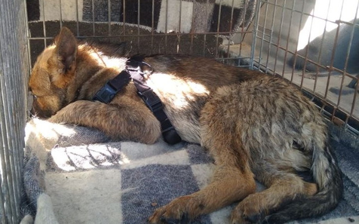 Zbiórka Dziecko porzucone jak śmieć - zdjęcie główne