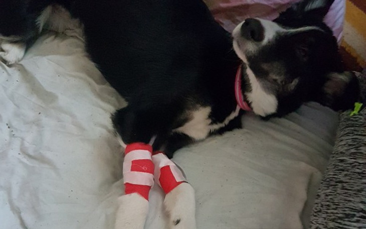 Zbiórka Uratuj życie - zdjęcie główne