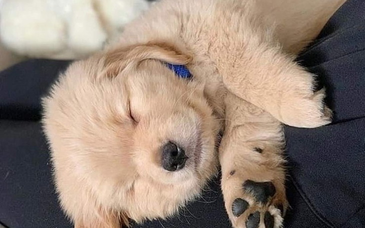 Zbiórka .............k - zdjęcie główne