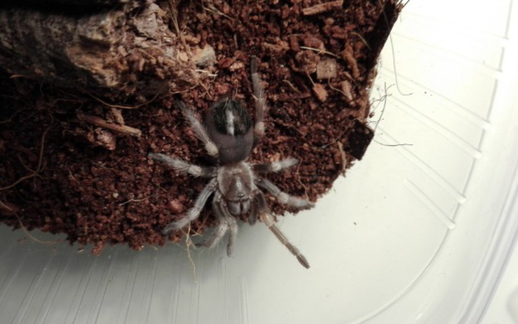 Zbiórka Na rozwój bloga nastolatka - zdjęcie główne