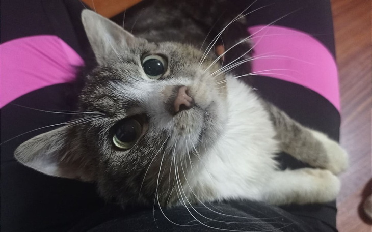 Zbiórka Oby przetrwać - zdjęcie główne