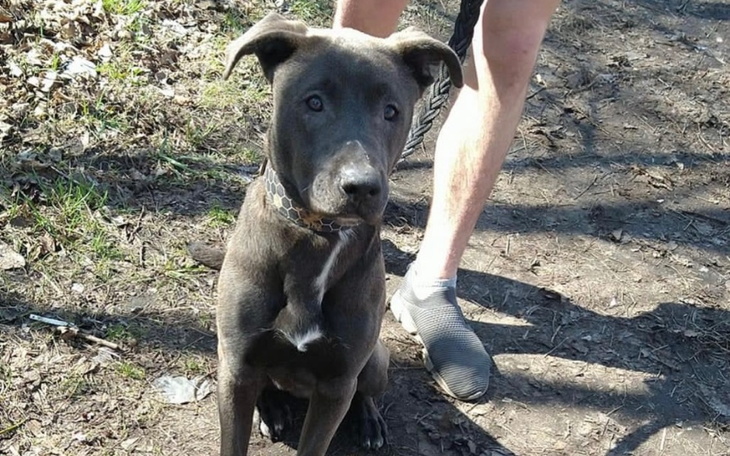 Zbiórka Chce cieszyć się życiem. - zdjęcie główne