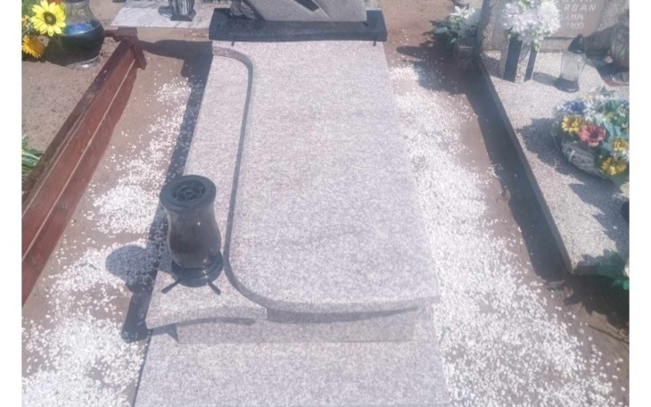 Zbiórka Pomnik dla wojownika - zdjęcie główne