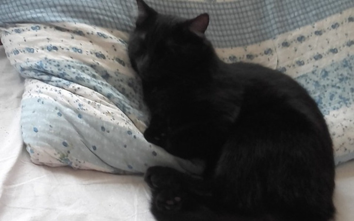 Zbiórka na szkołę prywatną - zdjęcie główne