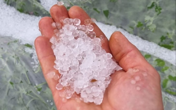 Zbiórka Na odbudowę ogrodu po gradobiciu - zdjęcie główne