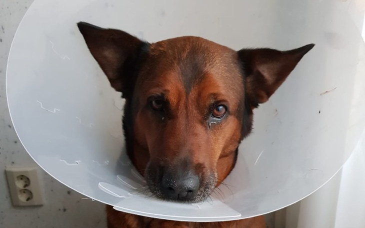 Zbiórka Leczenie i diagnostyka Gabi - zdjęcie główne