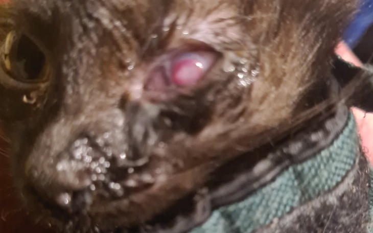 Zbiórka To już chyba koniec - zdjęcie główne