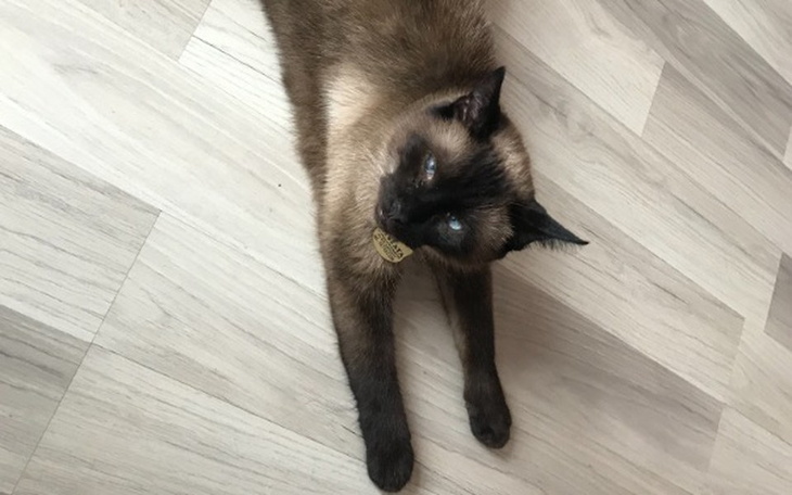 Zbiórka Leczymy zęby Myszatej - zdjęcie główne