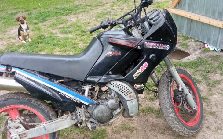 Motocykl zaparkowany na trawie z psem w tle.