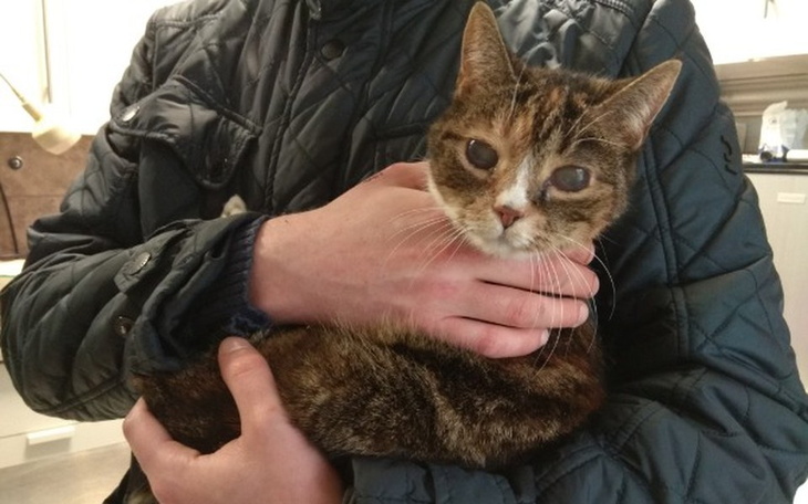 Zbiórka Diagnostyka Grau - zdjęcie główne