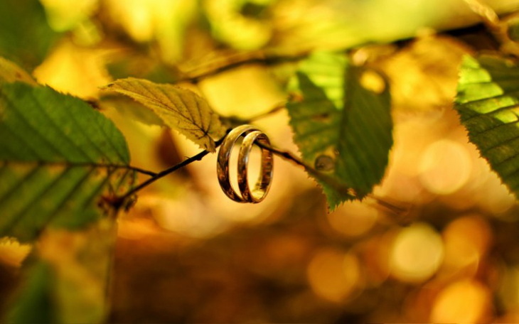 Zbiórka Wkład własny do mieszkanka - zdjęcie główne