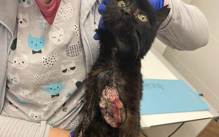 Zbiórka Pęknięty guz - walka o życie - zdjęcie główne