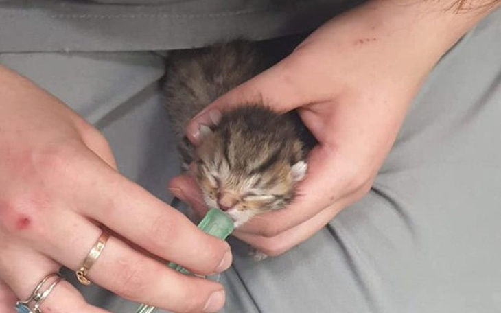 Zbiórka Urodzone by umrzeć? - zdjęcie główne