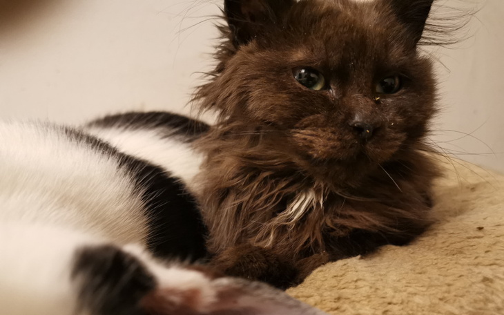 Zbiórka Kiermasz dla podopiecznych 5 - zdjęcie główne