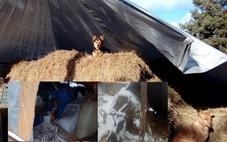 Zbiórka NA RATUNEK -Stodoła - zdjęcie główne