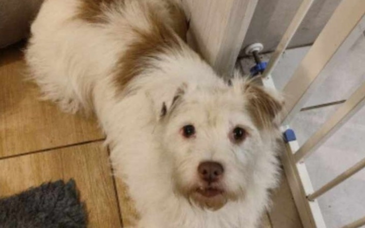 Zbiórka Odnalezienie zaginionej Bezy. - zdjęcie główne