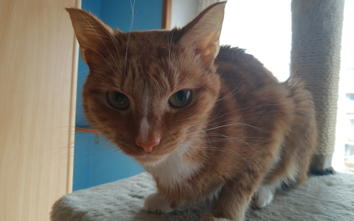 Zbiórka odFIPowanie Ragnara - zdjęcie główne