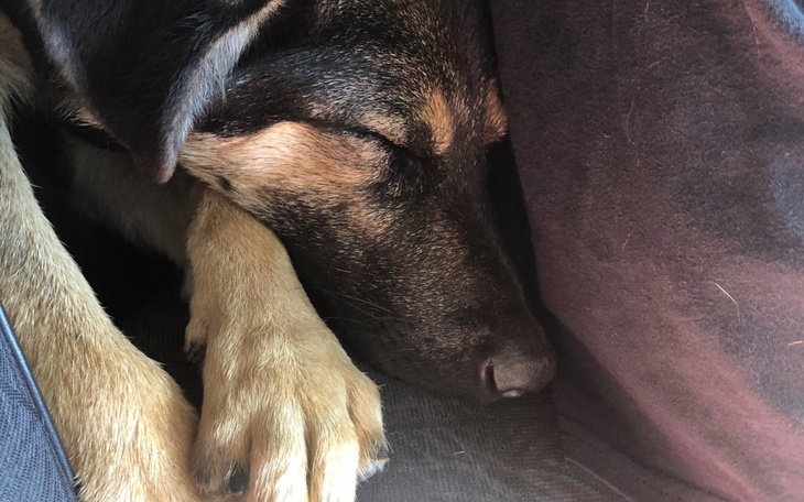 Zbiórka FART walczy z PARWOWIROZA - zdjęcie główne