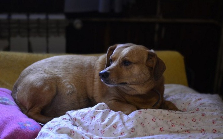 Zbiórka Węgiel dla Harbutowic na zimę - zdjęcie główne