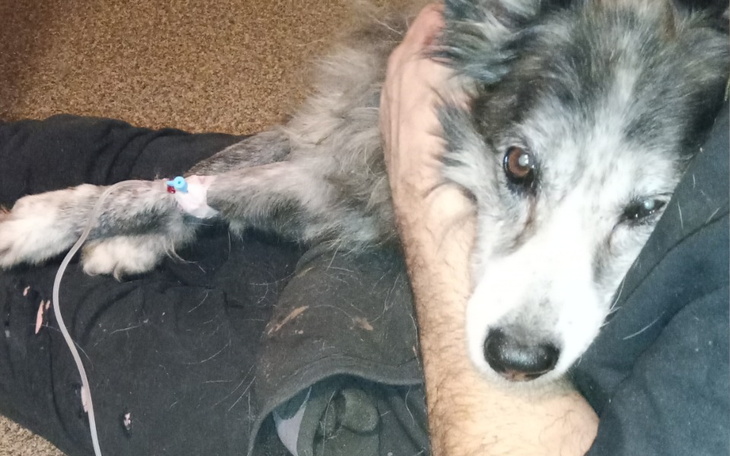 Zbiórka India - zdjęcie główne