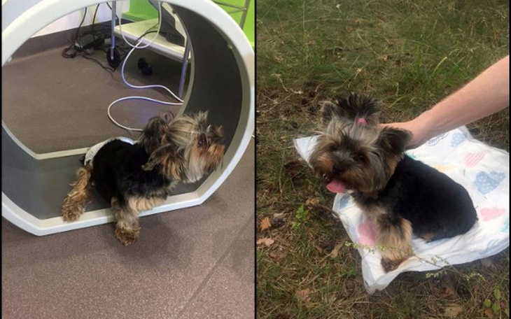 Zbiórka Bym mogła samodzielnie chodzić! - zdjęcie główne