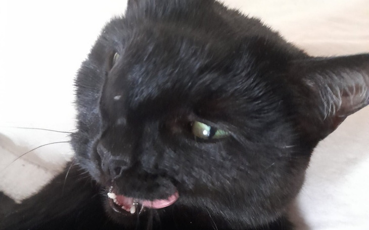 Zbiórka Białaczka zabiera naszą Renie - zdjęcie główne