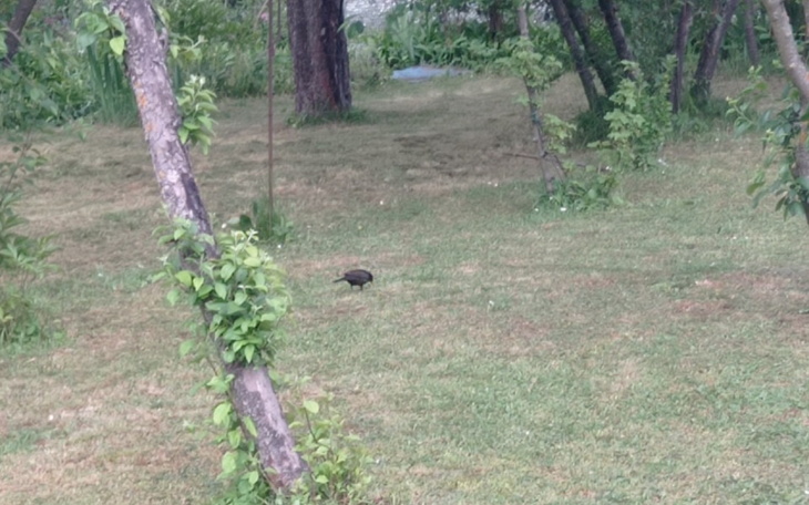 Zbiórka Wyjazd marzenie - zdjęcie główne