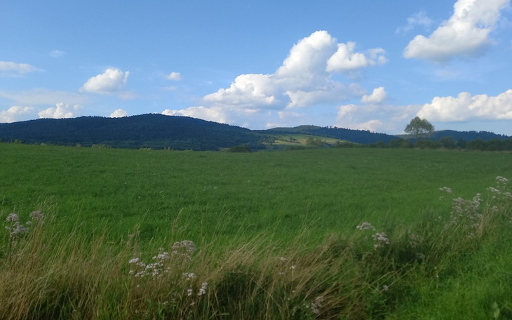 Zbiórka Bieszczady Ukrainie - zdjęcie główne