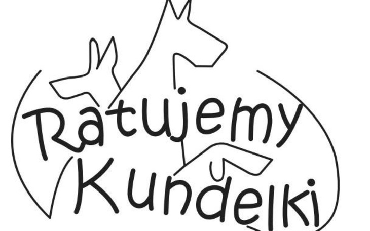 Zbiórka Pomoc dla Ratujemy Kundelki - zdjęcie główne