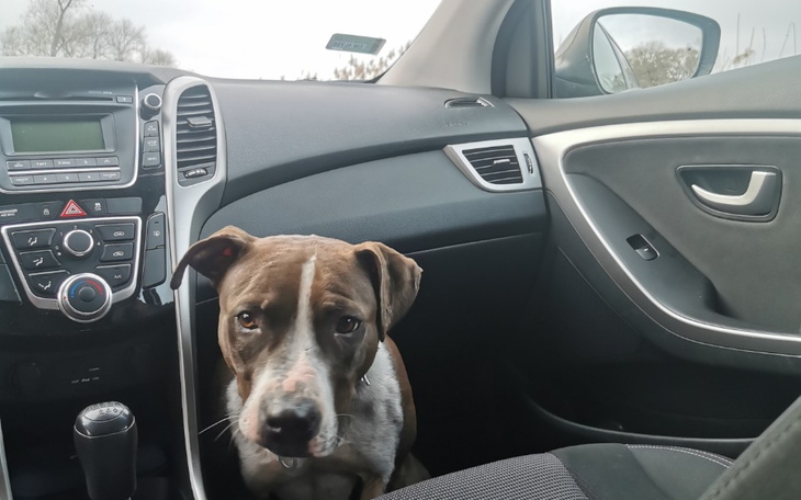 Zbiórka Pomoc na terapię i depresję - zdjęcie główne