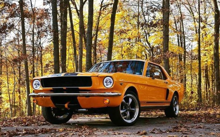 Zbiórka Na pierwszy samochód :@ - zdjęcie główne