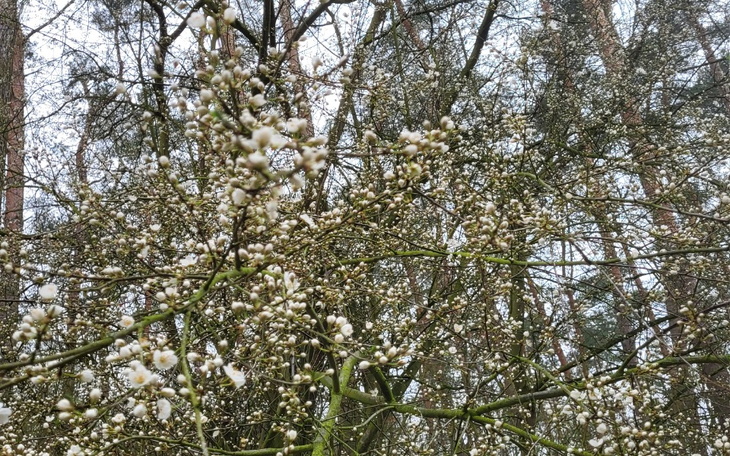 Zbiórka Strata pracy. Jedyny żywiciel - zdjęcie główne