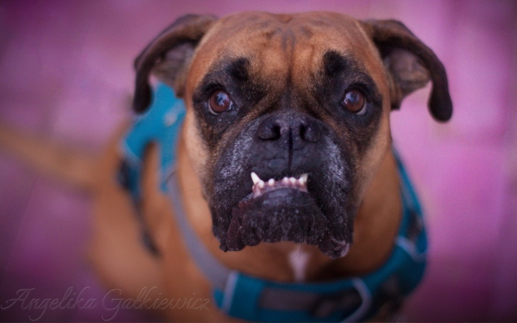 Zbiórka Wygrajmy z rakiem Pomóż Korneli - zdjęcie główne