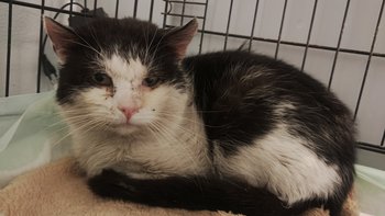 Zbiórka On sam sobie nie pomoże - miniaturka zdjęcia