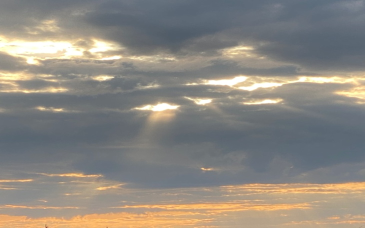 Zbiórka Pieskowy świat - zdjęcie główne