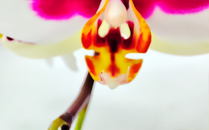 Zbiórka Po co kłamać - zdjęcie główne