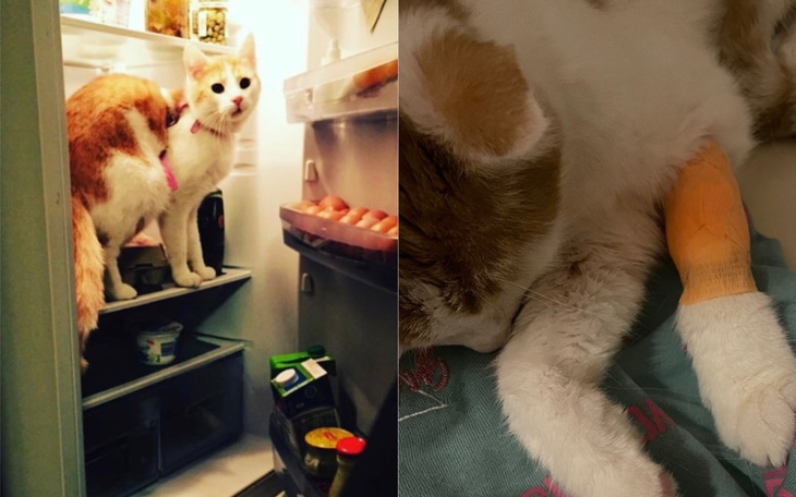 Zbiórka Nie pozwólmy Tymonkowi umrzeć - zdjęcie główne