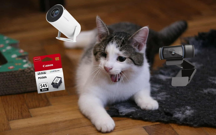 Kot bawiący się w otoczeniu sprzętu elektronicznego.