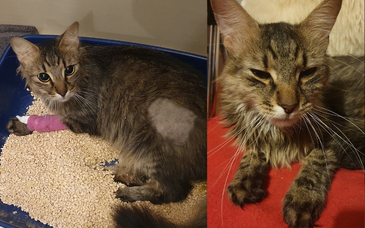 Zbiórka Ja chce jeszcze żyć... - zdjęcie główne