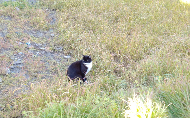 Zbiórka Opłata Długów - zdjęcie główne