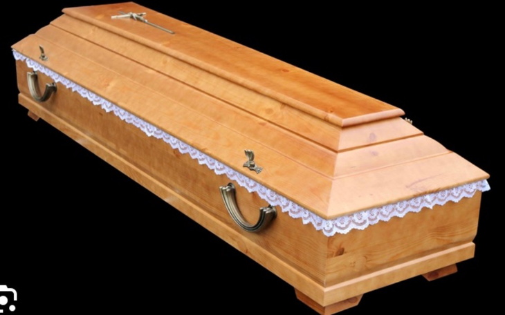 Koty jedzące w nocy przy ogrodzeniu, w ciemnym otoczeniu.