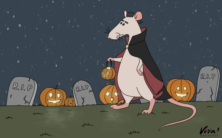 Zbiórka Halloweenowa Akcja Gryzoniowa - zdjęcie główne