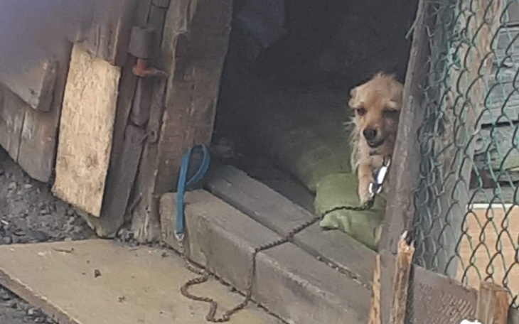 Zbiórka pomoc dla maleńkiej Dianki - zdjęcie główne