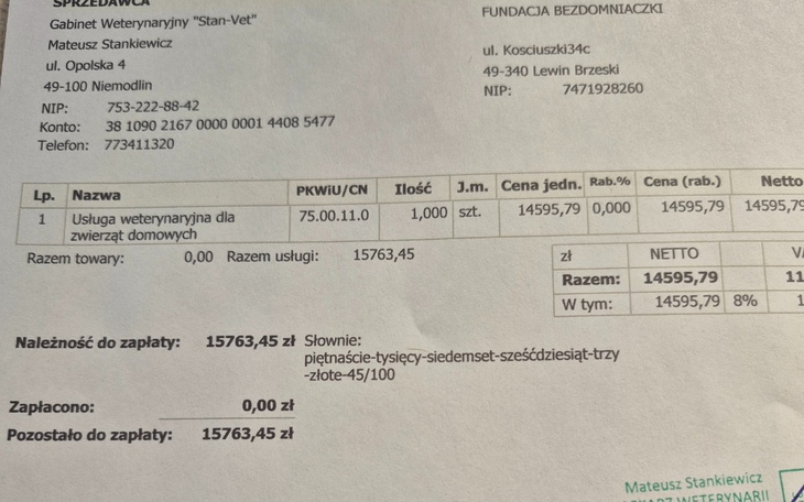 Pies rasy bokser z wystawionym językiem.