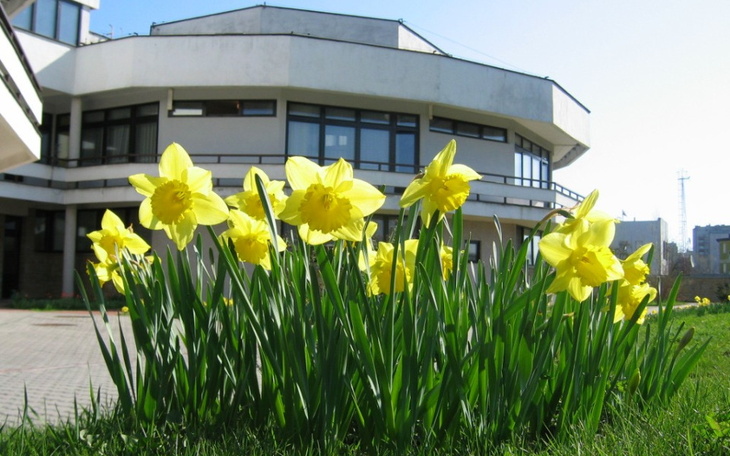 Zbiórka Urodzinowa Magdy Wojtarowicz - zdjęcie główne